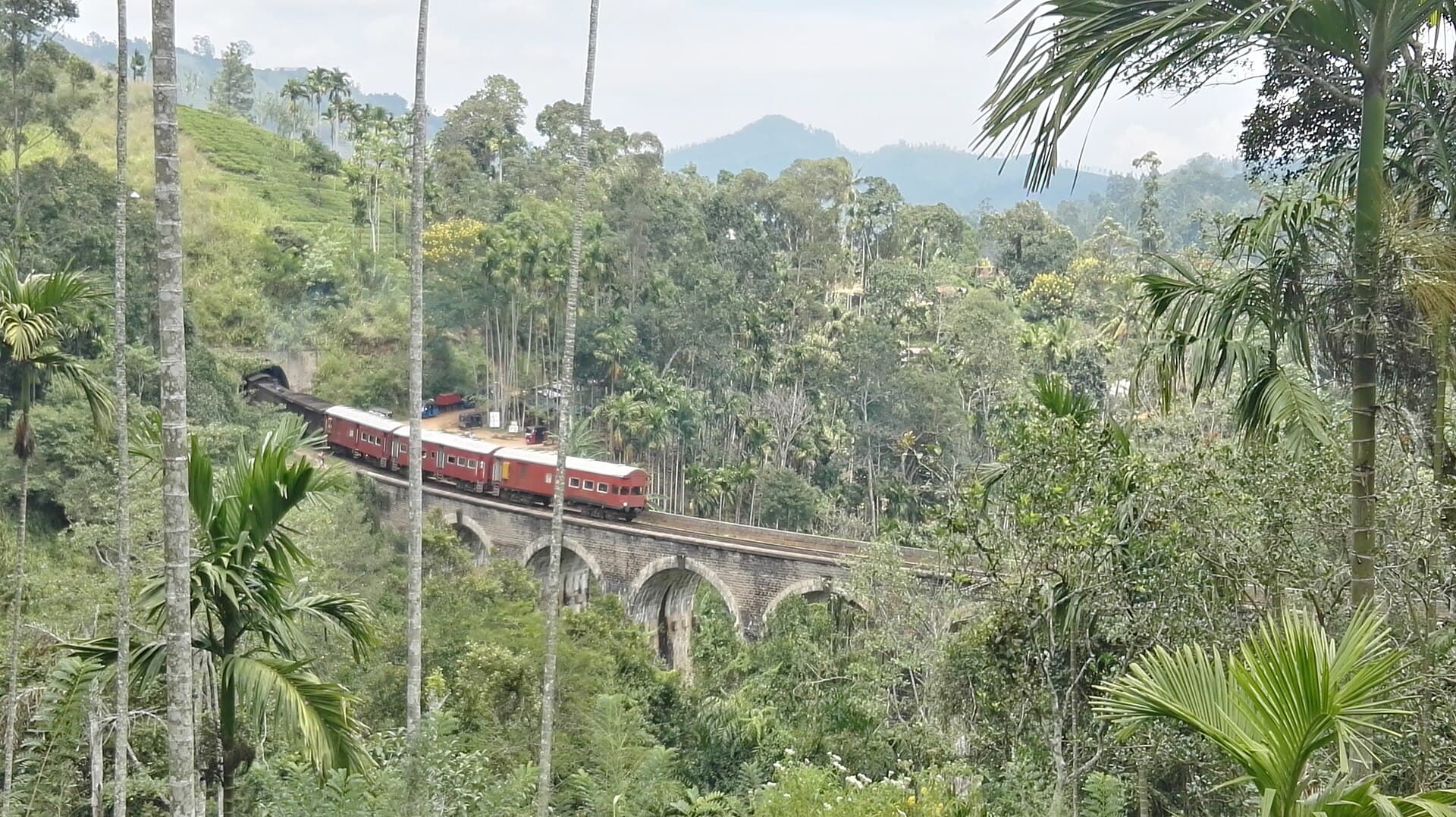 Nuwara Eliya & Ella, Sri Lanka